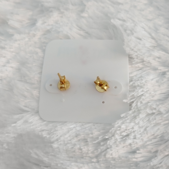 ⭐14k Gold Plated Hypoallergenic Mismatch Sterling Dachshund Dog Paw Print Studs - Picture 4 of 8